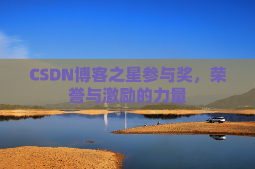 CSDN博客之星参与奖，荣誉与激励的力量